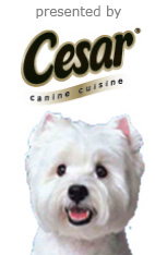 Presented by: cesar® canine cuisine